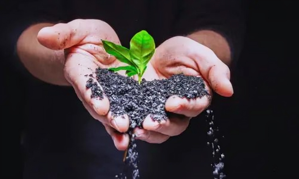 Biochar Industriel