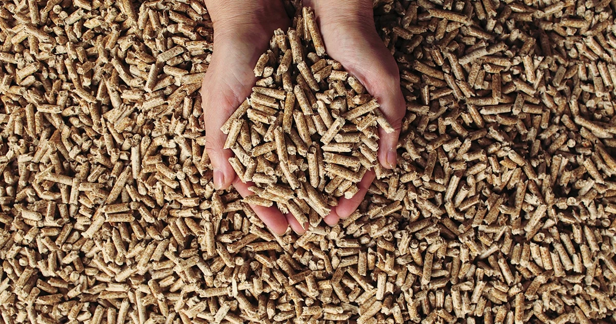 Pellets granulés